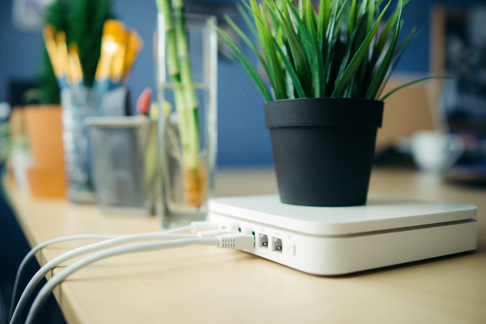 wifi router on table with plant on top