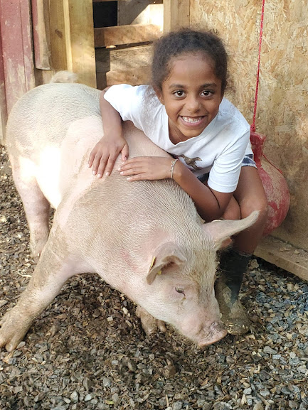 girl with pig