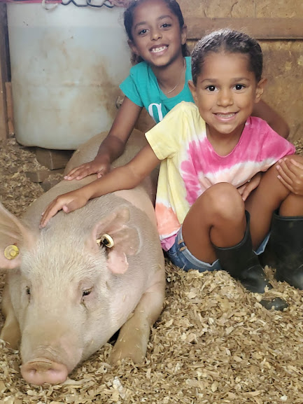 two girls with pig